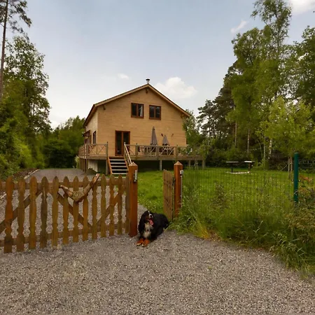 Luxury With Sauna In The Forest Holiday home Barvaux